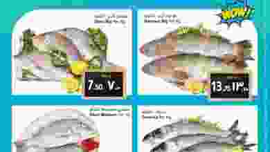 278063195_5003745213071923_6570771263360905093_n