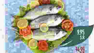 el3rod.com00001-1071