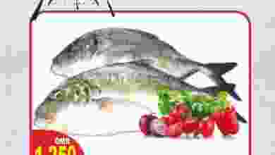 el3rod.com00001-1136
