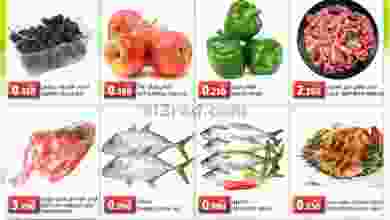 el3rod.com00001-1168