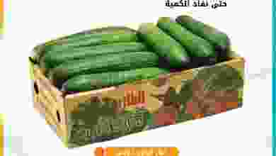 el3rod.com00001-139