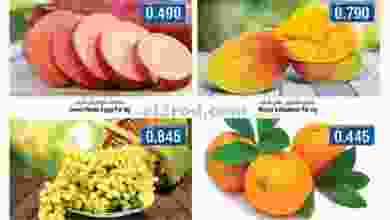 el3rod.com00001-142