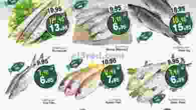 el3rod.com00001-1439