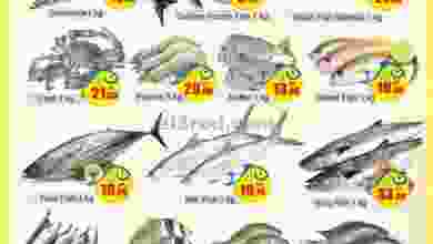 el3rod.com00001-1490