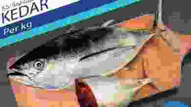 el3rod.com00001-1499
