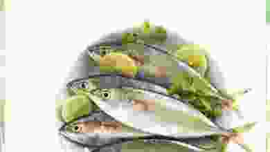 el3rod.com00001-245