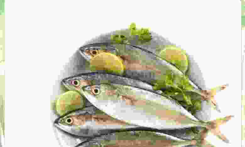 el3rod.com00001-245