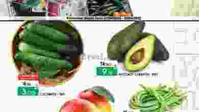 el3rod.com00001-25