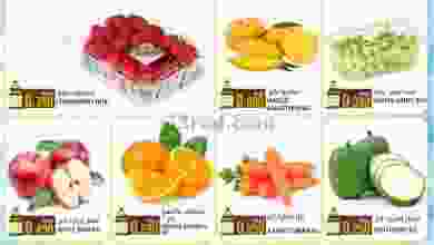 el3rod.com00001-258