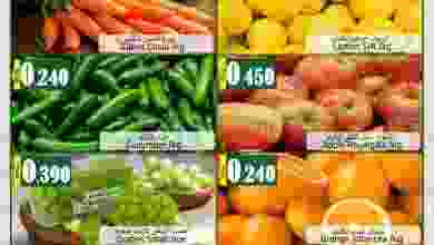 el3rod.com00001-323