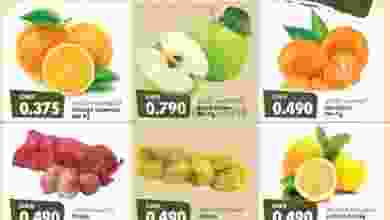 el3rod.com00001-329
