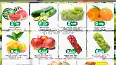 el3rod.com00001-339