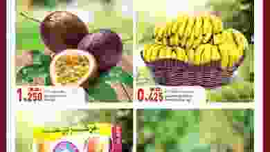 el3rod.com00001-341