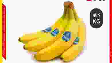 el3rod.com00001-358