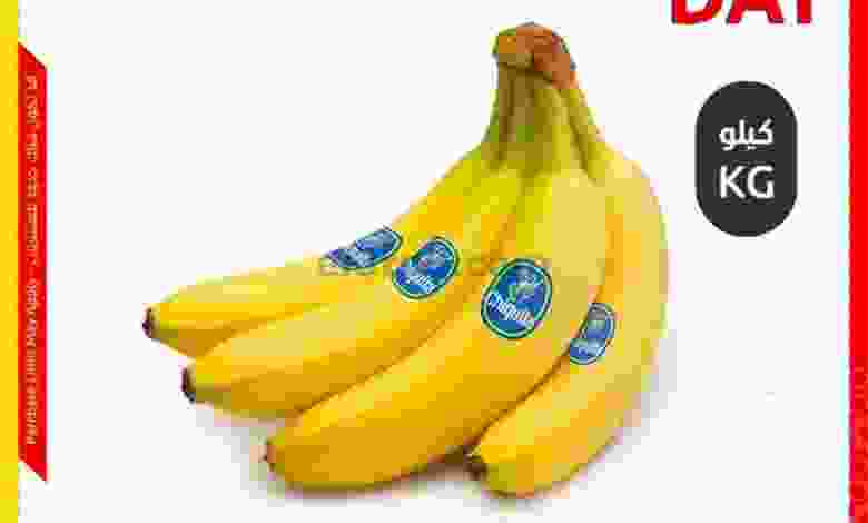 el3rod.com00001-358