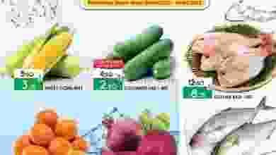 el3rod.com00001-362