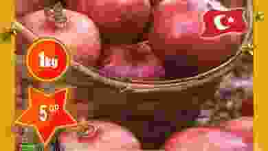 el3rod.com00001-391