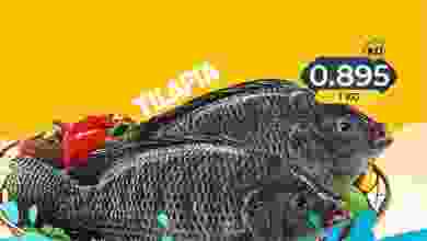 el3rod.com00001-413