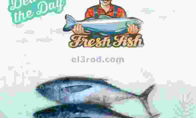 el3rod.com00001-501