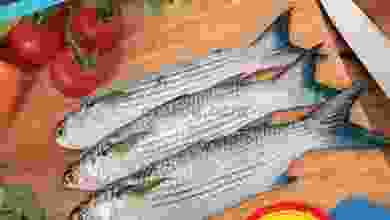 el3rod.com00001-503