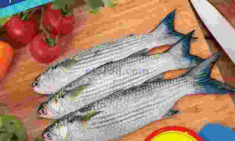 el3rod.com00001-503