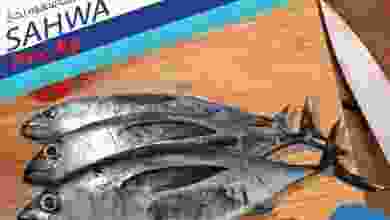 el3rod.com00001-504