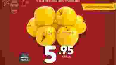 el3rod.com00001-509