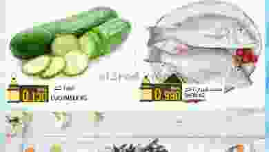 el3rod.com00001-545