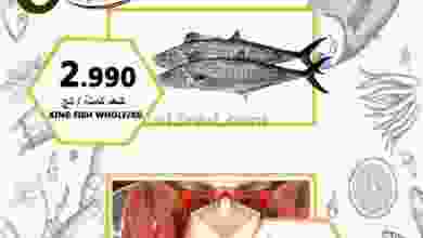 el3rod.com00001-565