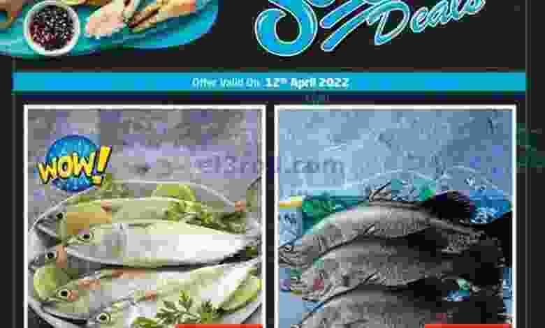 el3rod.com00001-567