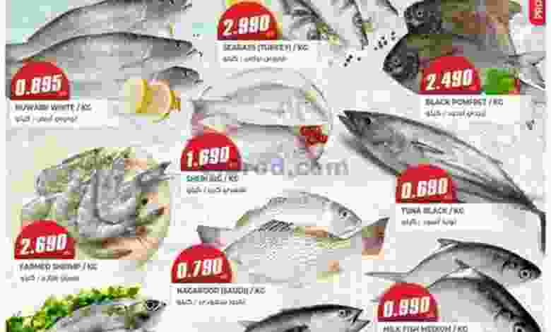 el3rod.com00001-669
