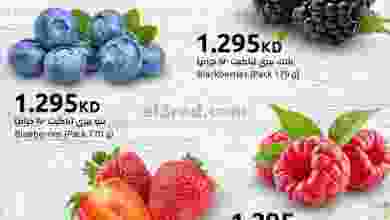 el3rod.com00001-722