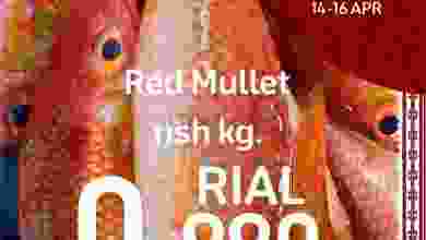 el3rod.com00001-750