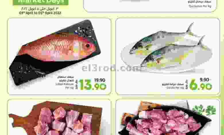 el3rod.com00001-82