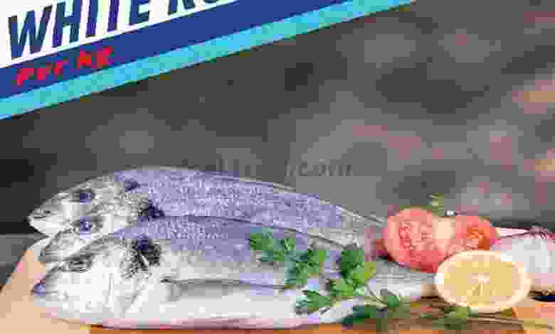 el3rod.com00001-886