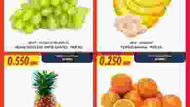 el3rod.com00002-1236