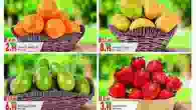 el3rod.com00002-161