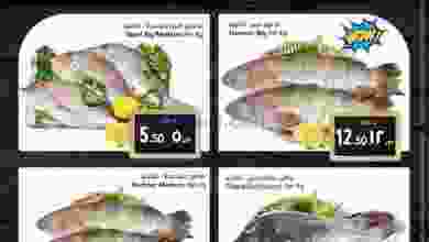 el3rod.com00002-264