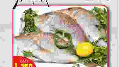 el3rod.com00002-287