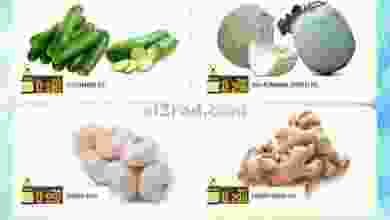 el3rod.com00002-381