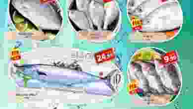 el3rod.com00002-971