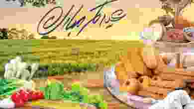 el3rod.com00003-648