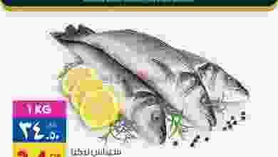 el3rod.com00003-680