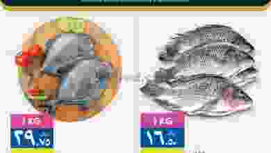 el3rod.com00003-803