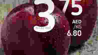 el3rod.com00004-30