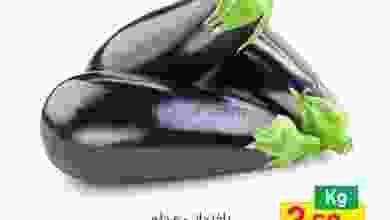 el3rod.com00004-485