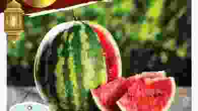 el3rod.com00005-274
