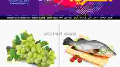 el3rod.com00005-554