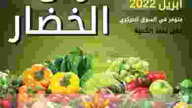 el3rod.com00006-213