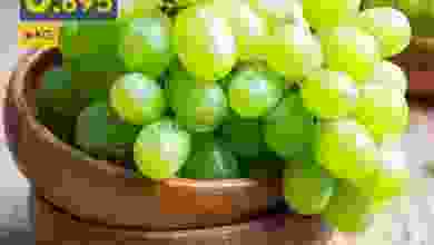 el3rod.com00006-406